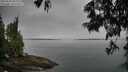 ./images/koeye/fitz-hugh/20250623/fitz-hugh20250623_082510M.jpg