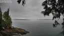./images/koeye/fitz-hugh/20250623/fitz-hugh20250623_083012M.jpg