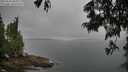 ./images/koeye/fitz-hugh/20250623/fitz-hugh20250623_085010M.jpg