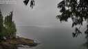 ./images/koeye/fitz-hugh/20250623/fitz-hugh20250623_085509M.jpg