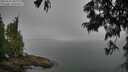 ./images/koeye/fitz-hugh/20250623/fitz-hugh20250623_090010M.jpg