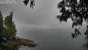 ./images/koeye/fitz-hugh/20250623/fitz-hugh20250623_090510M.jpg