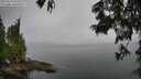./images/koeye/fitz-hugh/20250623/fitz-hugh20250623_094511M.jpg