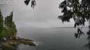 ./images/koeye/fitz-hugh/20250623/fitz-hugh20250623_100508M.jpg