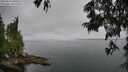 ./images/koeye/fitz-hugh/20250623/fitz-hugh20250623_101010M.jpg