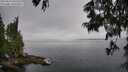 ./images/koeye/fitz-hugh/20250623/fitz-hugh20250623_101509M.jpg