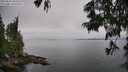 ./images/koeye/fitz-hugh/20250623/fitz-hugh20250623_102510M.jpg