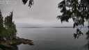 ./images/koeye/fitz-hugh/20250623/fitz-hugh20250623_103511M.jpg
