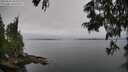 ./images/koeye/fitz-hugh/20250623/fitz-hugh20250623_104011M.jpg