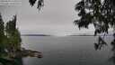 ./images/koeye/fitz-hugh/20250623/fitz-hugh20250623_111010M.jpg