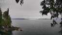 ./images/koeye/fitz-hugh/20250623/fitz-hugh20250623_112009M.jpg