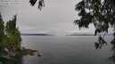 ./images/koeye/fitz-hugh/20250623/fitz-hugh20250623_113508M.jpg