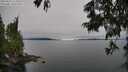 ./images/koeye/fitz-hugh/20250623/fitz-hugh20250623_123511M.jpg