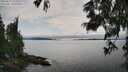 ./images/koeye/fitz-hugh/20250623/fitz-hugh20250623_154512M.jpg