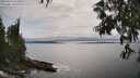 ./images/koeye/fitz-hugh/20250623/fitz-hugh20250623_162012M.jpg