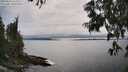 ./images/koeye/fitz-hugh/20250623/fitz-hugh20250623_162507M.jpg