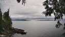./images/koeye/fitz-hugh/20250623/fitz-hugh20250623_163009M.jpg