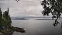 ./images/koeye/fitz-hugh/20250623/fitz-hugh20250623_163508M.jpg