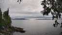 ./images/koeye/fitz-hugh/20250623/fitz-hugh20250623_164009M.jpg