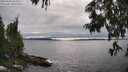 ./images/koeye/fitz-hugh/20250623/fitz-hugh20250623_164511M.jpg