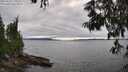 ./images/koeye/fitz-hugh/20250623/fitz-hugh20250623_170510M.jpg