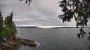 ./images/koeye/fitz-hugh/20250623/fitz-hugh20250623_171511M.jpg