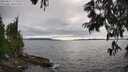 ./images/koeye/fitz-hugh/20250623/fitz-hugh20250623_172510M.jpg