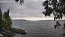./images/koeye/fitz-hugh/20250623/fitz-hugh20250623_180013M.jpg