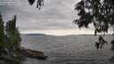 ./images/koeye/fitz-hugh/20250623/fitz-hugh20250623_180507M.jpg