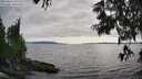 ./images/koeye/fitz-hugh/20250623/fitz-hugh20250623_181511M.jpg