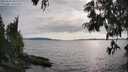 ./images/koeye/fitz-hugh/20250623/fitz-hugh20250623_182012M.jpg