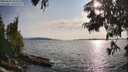 ./images/koeye/fitz-hugh/20250623/fitz-hugh20250623_183511M.jpg
