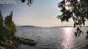 ./images/koeye/fitz-hugh/20250623/fitz-hugh20250623_184010M.jpg