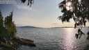 ./images/koeye/fitz-hugh/20250623/fitz-hugh20250623_184511M.jpg