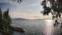./images/koeye/fitz-hugh/20250623/fitz-hugh20250623_185011M.jpg