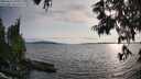 ./images/koeye/fitz-hugh/20250623/fitz-hugh20250623_191009M.jpg