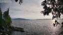 ./images/koeye/fitz-hugh/20250623/fitz-hugh20250623_193010M.jpg