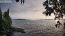 ./images/koeye/fitz-hugh/20250623/fitz-hugh20250623_194508M.jpg