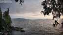 ./images/koeye/fitz-hugh/20250623/fitz-hugh20250623_195508M.jpg