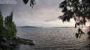 ./images/koeye/fitz-hugh/20250623/fitz-hugh20250623_200509M.jpg