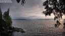 ./images/koeye/fitz-hugh/20250623/fitz-hugh20250623_202009M.jpg