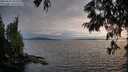 ./images/koeye/fitz-hugh/20250623/fitz-hugh20250623_202509M.jpg
