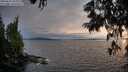 ./images/koeye/fitz-hugh/20250623/fitz-hugh20250623_203009M.jpg