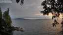 ./images/koeye/fitz-hugh/20250623/fitz-hugh20250623_203508M.jpg