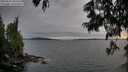 ./images/koeye/fitz-hugh/20250623/fitz-hugh20250623_204508M.jpg