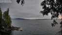 ./images/koeye/fitz-hugh/20250623/fitz-hugh20250623_205008M.jpg