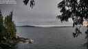 ./images/koeye/fitz-hugh/20250623/fitz-hugh20250623_205509M.jpg