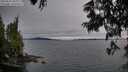 ./images/koeye/fitz-hugh/20250623/fitz-hugh20250623_210010M.jpg
