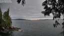 ./images/koeye/fitz-hugh/20250623/fitz-hugh20250623_211010M.jpg
