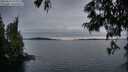 ./images/koeye/fitz-hugh/20250623/fitz-hugh20250623_215509M.jpg